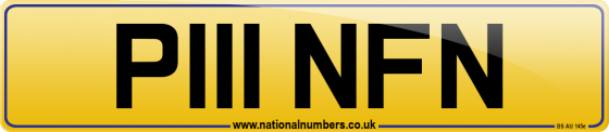 P111 NFN