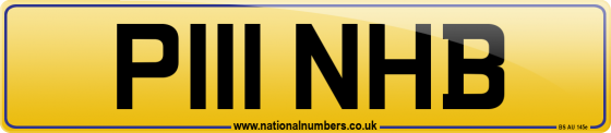 P111 NHB
