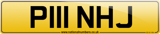 P111 NHJ