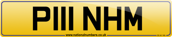 P111 NHM