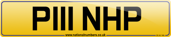 P111 NHP