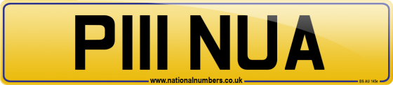 P111 NUA
