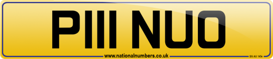 P111 NUO