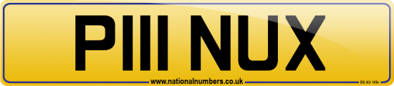 P111 NUX
