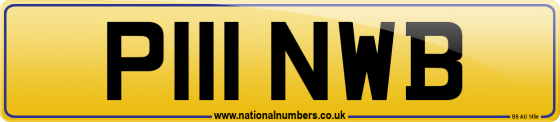 P111 NWB
