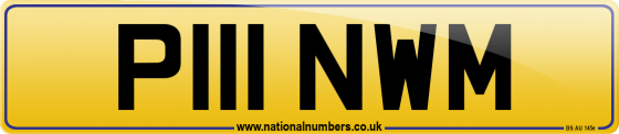 P111 NWM