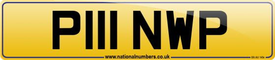 P111 NWP