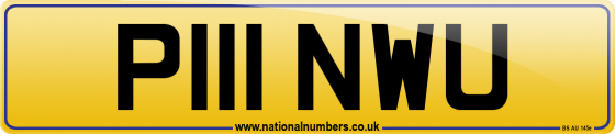 P111 NWU