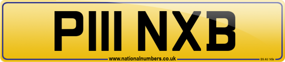 P111 NXB