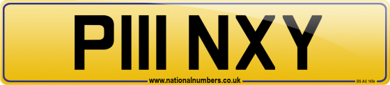 P111 NXY