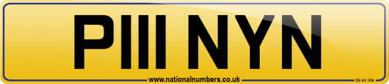 P111 NYN