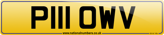 P111 OWV