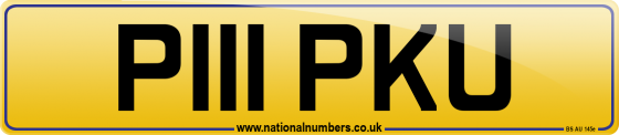 P111 PKU