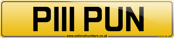 P111 PUN