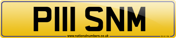 P111 SNM