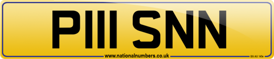 P111 SNN
