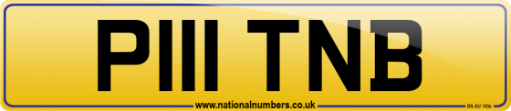 P111 TNB
