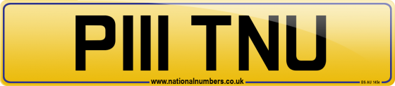 P111 TNU