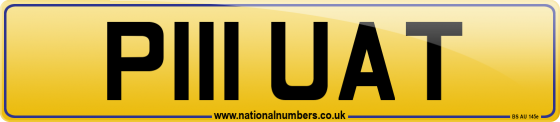 P111 UAT