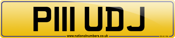 P111 UDJ