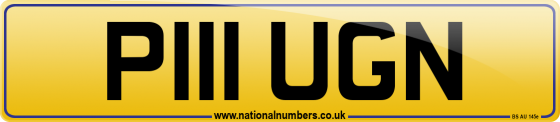P111 UGN