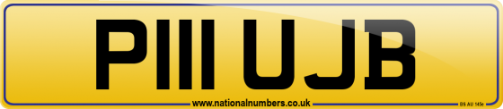 P111 UJB