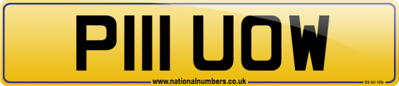 P111 UOW