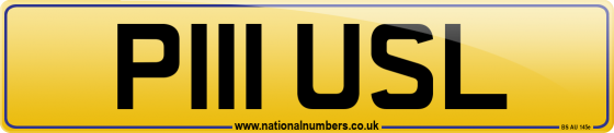 P111 USL