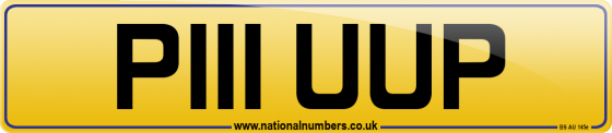 P111 UUP