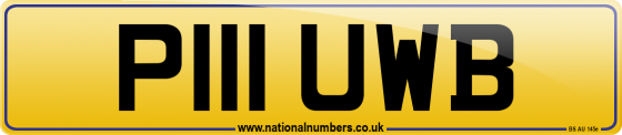 P111 UWB