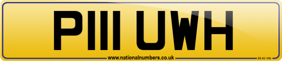 P111 UWH