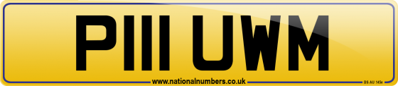 P111 UWM
