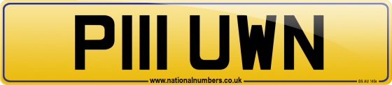 P111 UWN