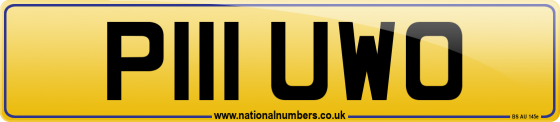 P111 UWO