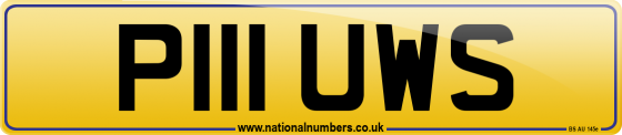P111 UWS