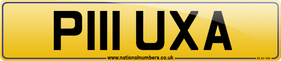 P111 UXA