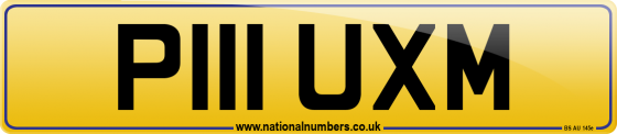 P111 UXM