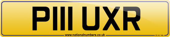 P111 UXR