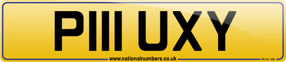 P111 UXY