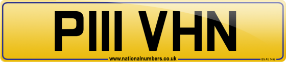 P111 VHN