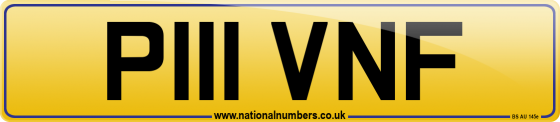 P111 VNF