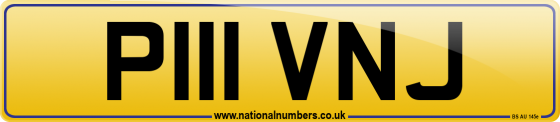 P111 VNJ