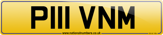 P111 VNM
