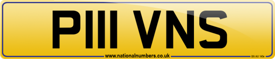 P111 VNS