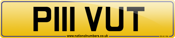 P111 VUT