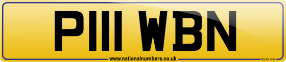 P111 WBN