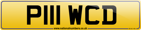 P111 WCD