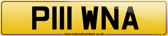 P111 WNA