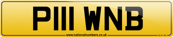 P111 WNB