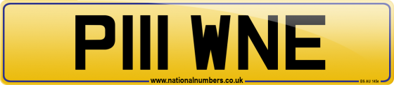 P111 WNE